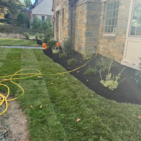 Our Works