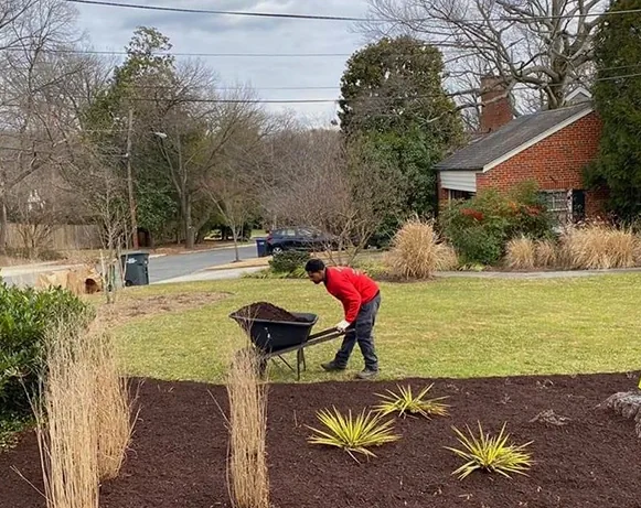 Landscaping Services